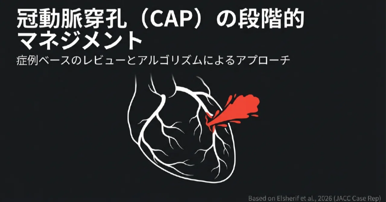 心カテ)カテ室最大の危機「冠動脈穿孔」のデバイス戦略とチーム連携