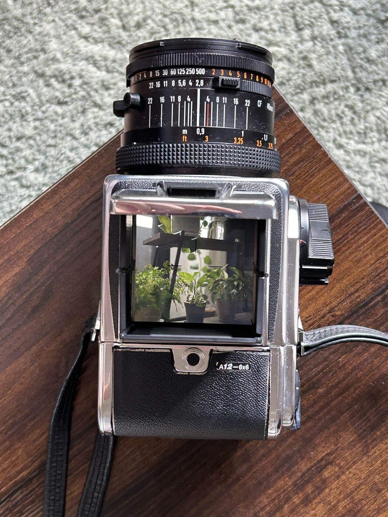 Hasselblad 500C/M｜朝霧