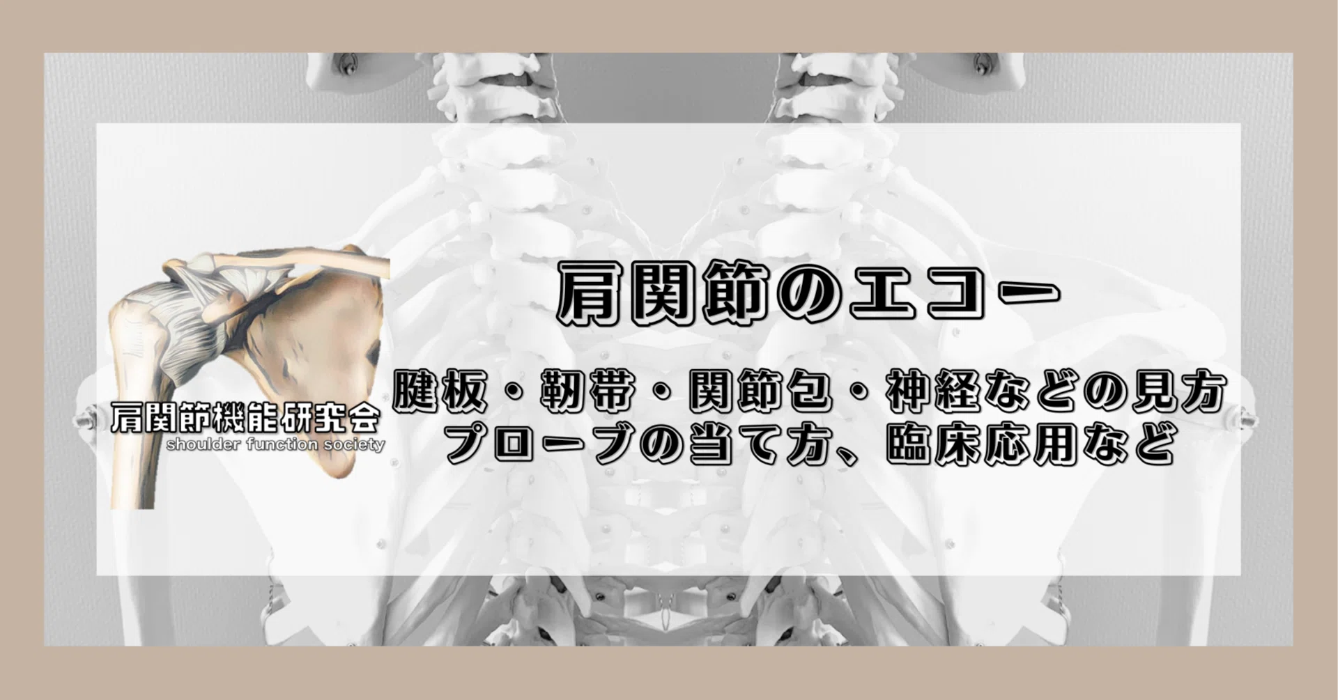 定期購読版】肩関節のエコー（腱板・靭帯・関節包・神経などの見方