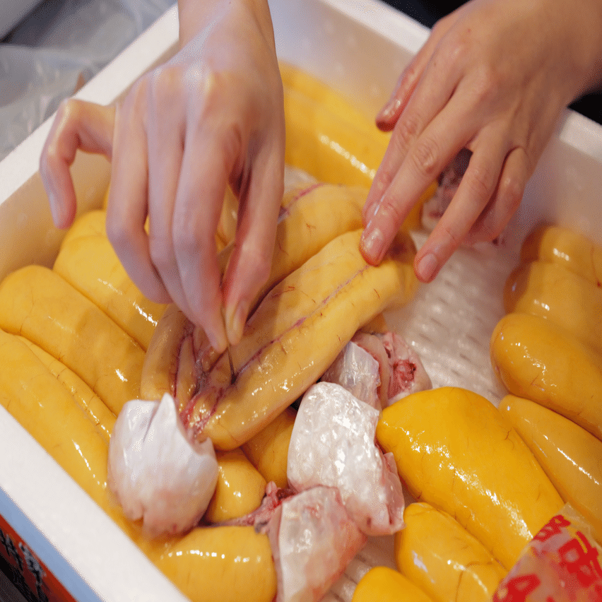 初体験：自家製カラスミづくり｜柿沼朋宏