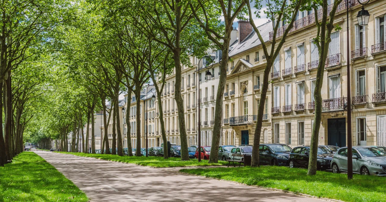 Moving to France: A Guide for Those Who Want to Know the Reality Before ...