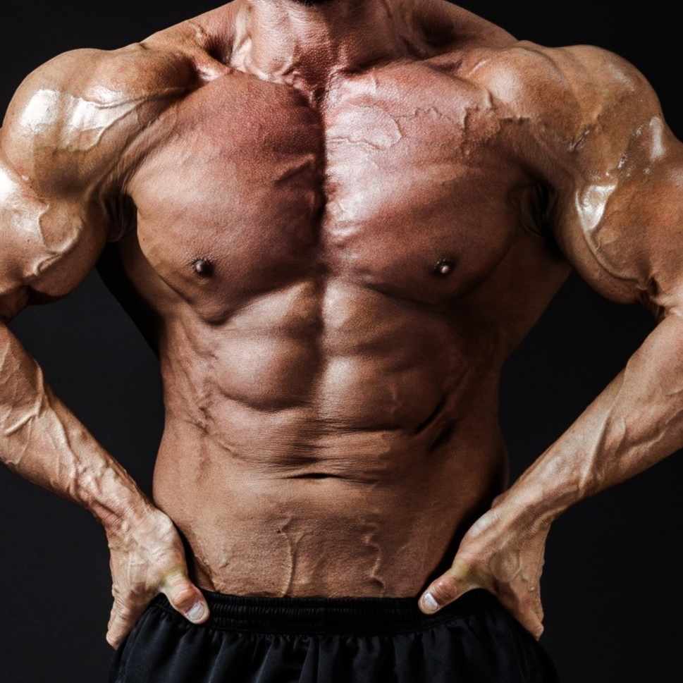 夏期スクーリング】「特別活動・総合的な学習の指導法」受講体験記