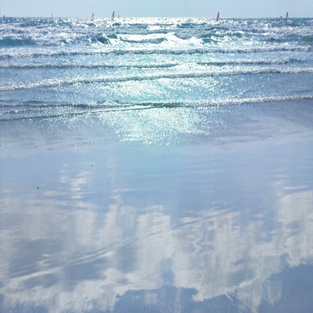 2026年 3月、4月、以降の予定✨ ※随時更新｜Kazuyo tilda