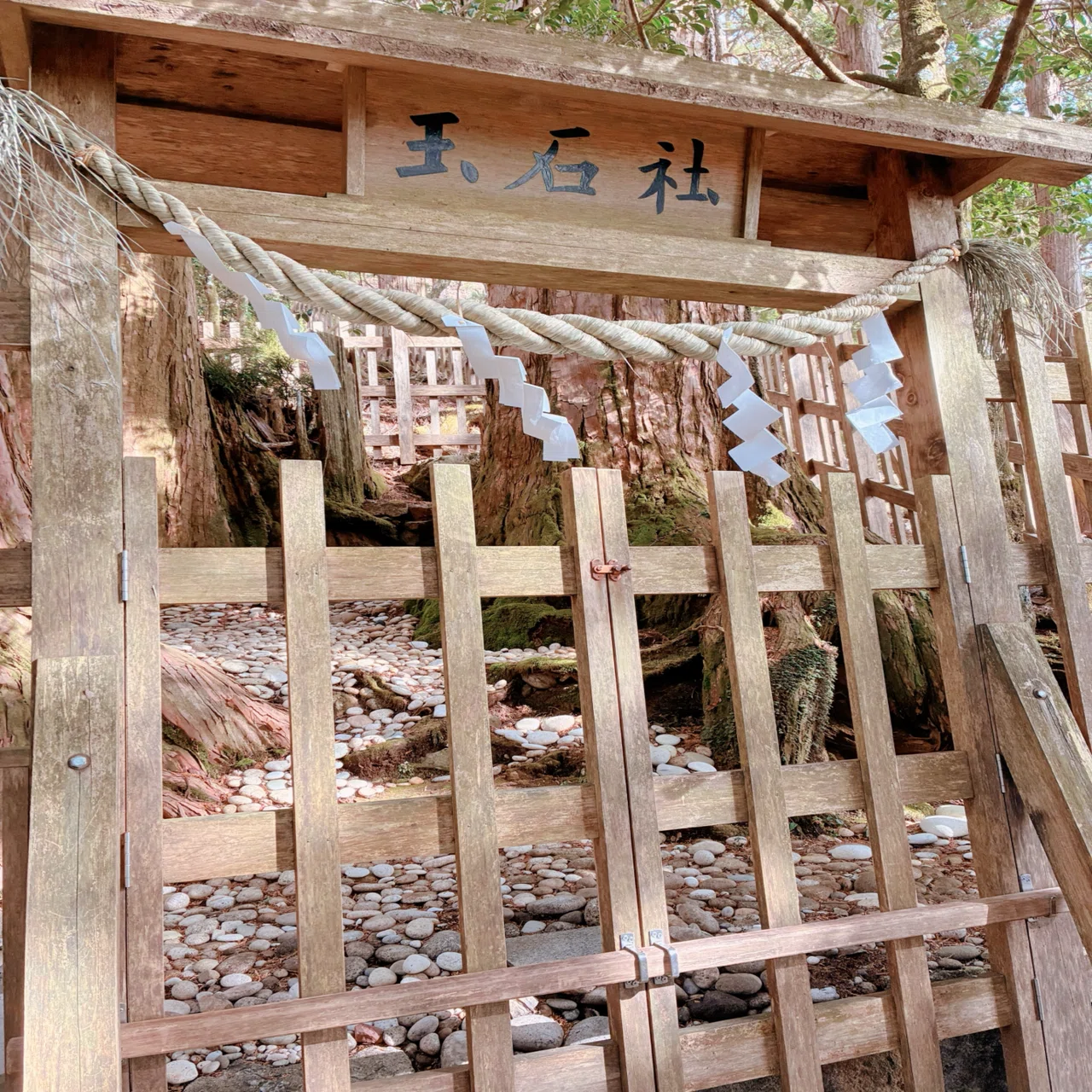 玉置神社参拝での誓い｜秋津七予