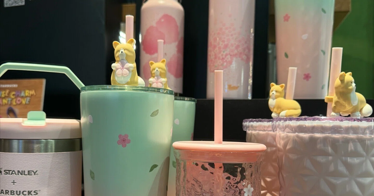 2026年2-3月春新作スタバstarbucksシンガポール.限定グッズ・土産｜500