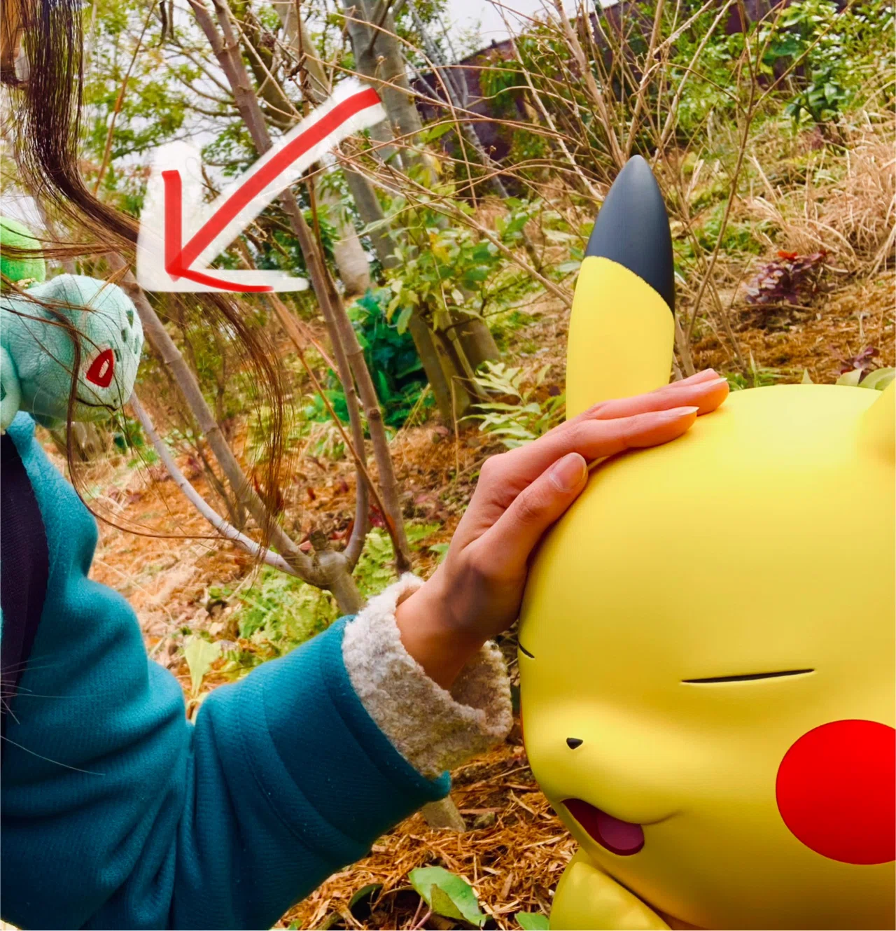 ポケパーク ソロ参戦をレポートに記録した▽｜さくら🌸パーソナル
