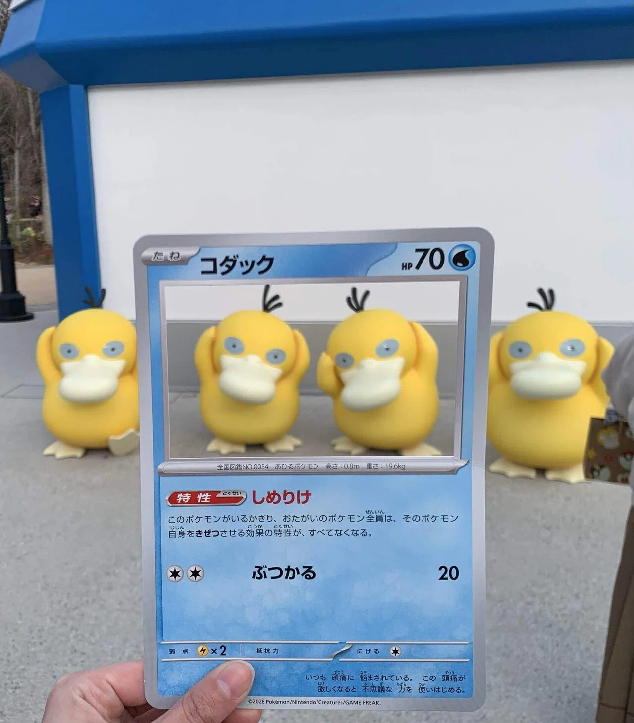 ポケパーク ソロ参戦をレポートに記録した▽｜さくら🌸パーソナル