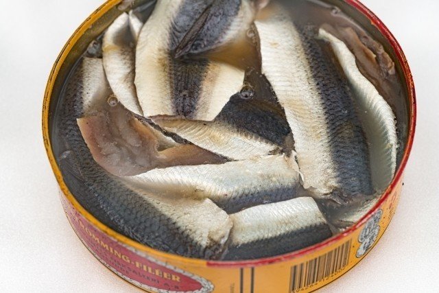 世界三大臭い食べ物 世界旅行 Note