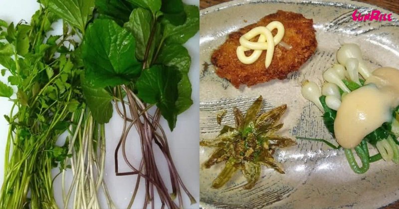 春の恵みを探しに