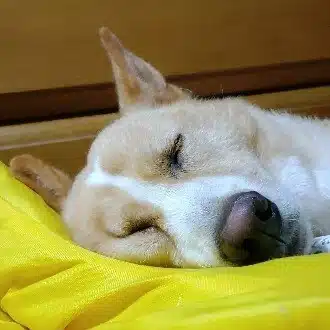 ぬるちぃ