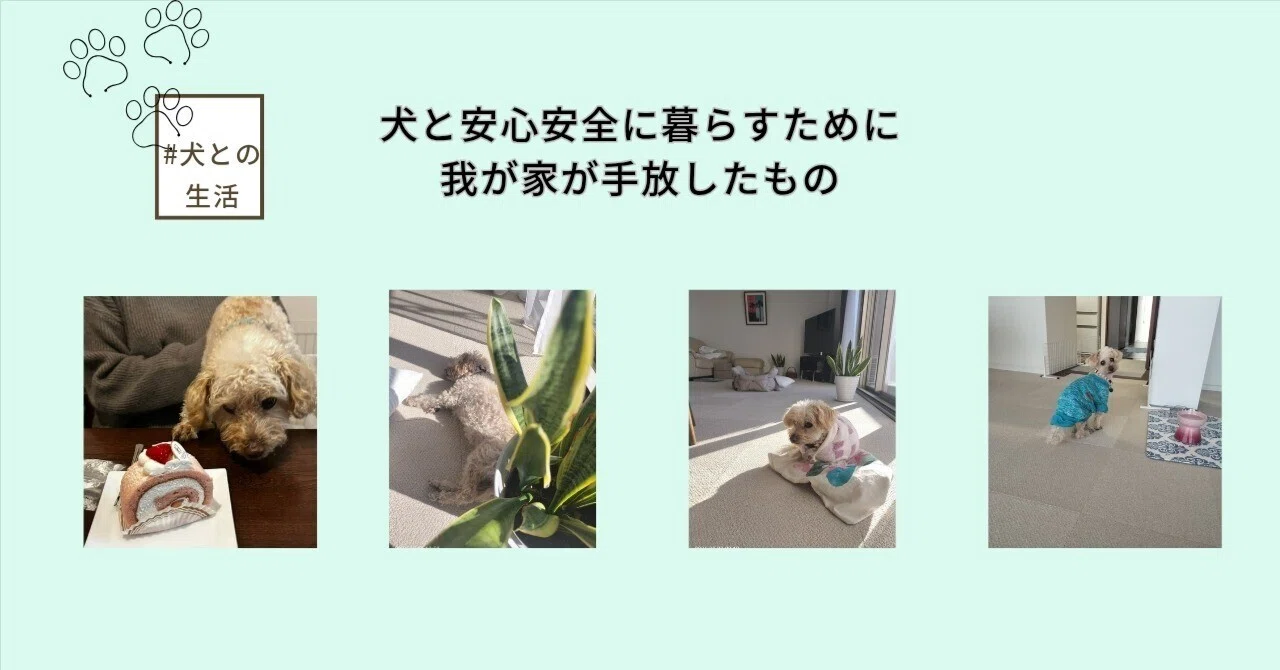 犬と安心安全に暮らすために、我が家が手放したもの｜野口ゆき～整理