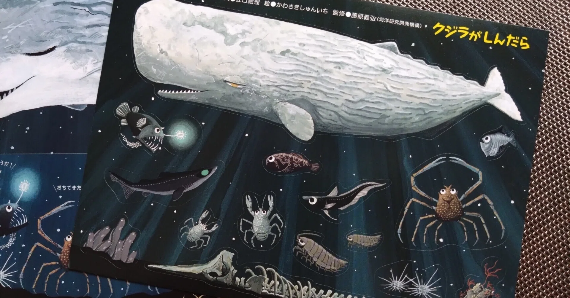 クジラがしんだら』シールが誕生!|江口絵理 クジラがしんだら』シールが誕生!|江口絵理