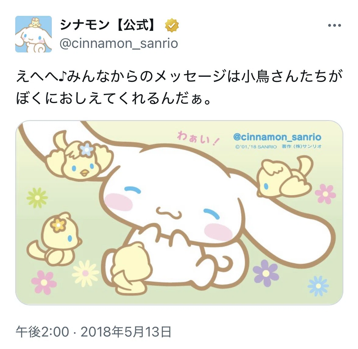 シロ太郎から読み解く奥村心雪の世界 シナモロール、Beatcats、しゃば