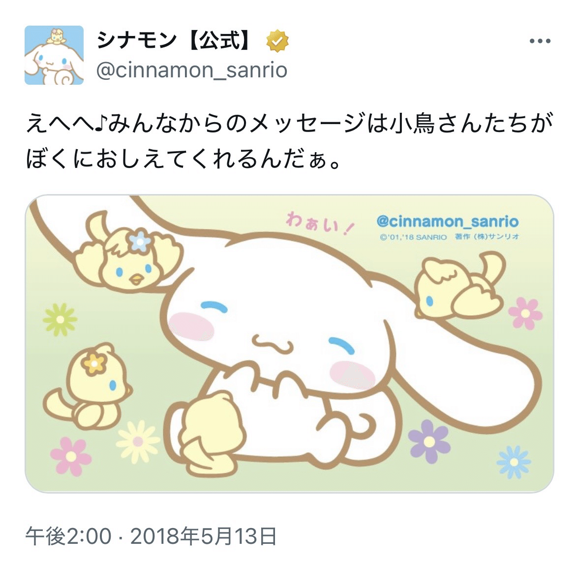 シロ太郎から読み解く奥村心雪の世界 シナモロール、Beatcats、しゃば