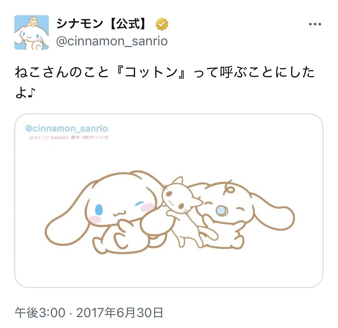 シロ太郎から読み解く奥村心雪の世界 シナモロール、Beatcats、しゃば