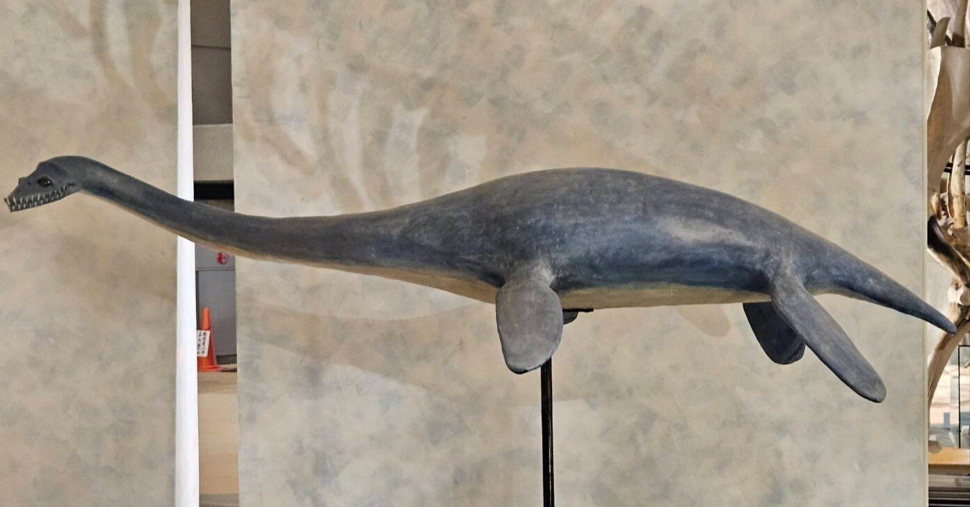 The Lost Universe 巨大首長竜①首長竜の始まり｜美原さつき