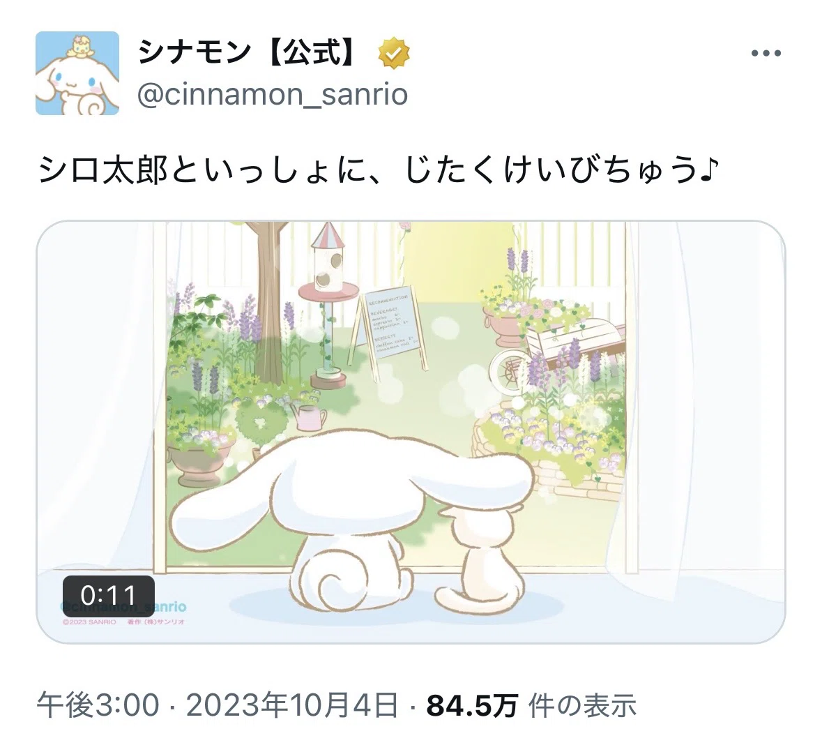 シロ太郎から読み解く奥村心雪の世界 シナモロール、Beatcats、しゃば