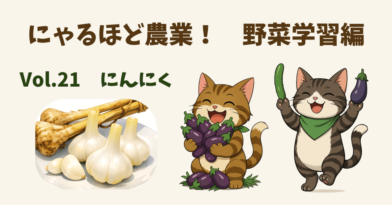 にゃるほど農業！野菜学習編 Vol.21｜にんにく｜ダイダラボッチの手