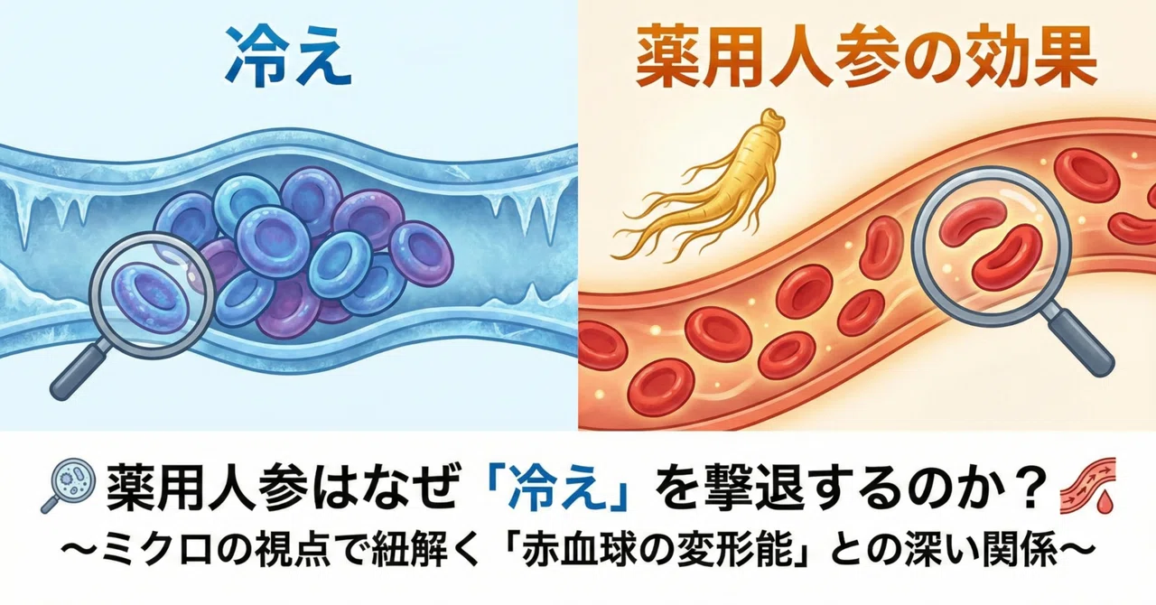 Why Does Ginseng Combat 'Coldness'? - Unraveling the Deep Connection ...