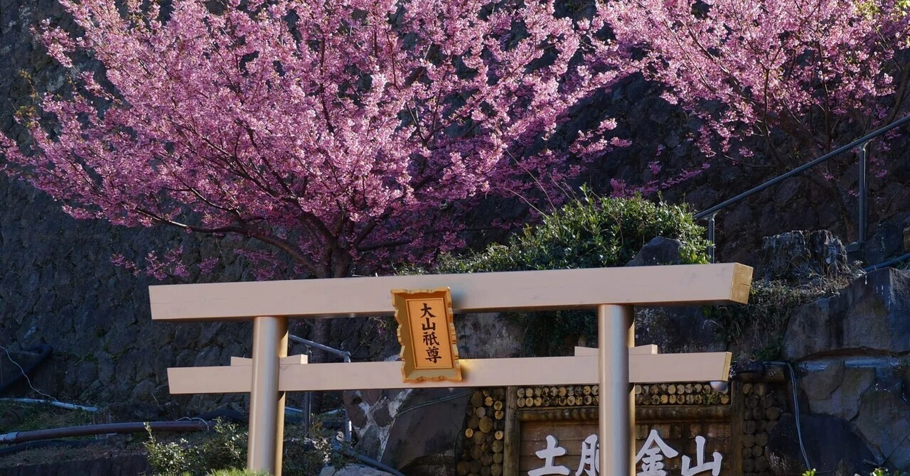 黄金の指輪を作りたい③（土肥金山・龕附天正金鉱編）｜よこしま