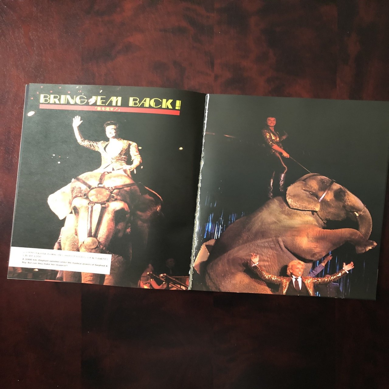 No.073 シークフリード＆ロイ / 絶品のイリュージョンショー｜小野信也