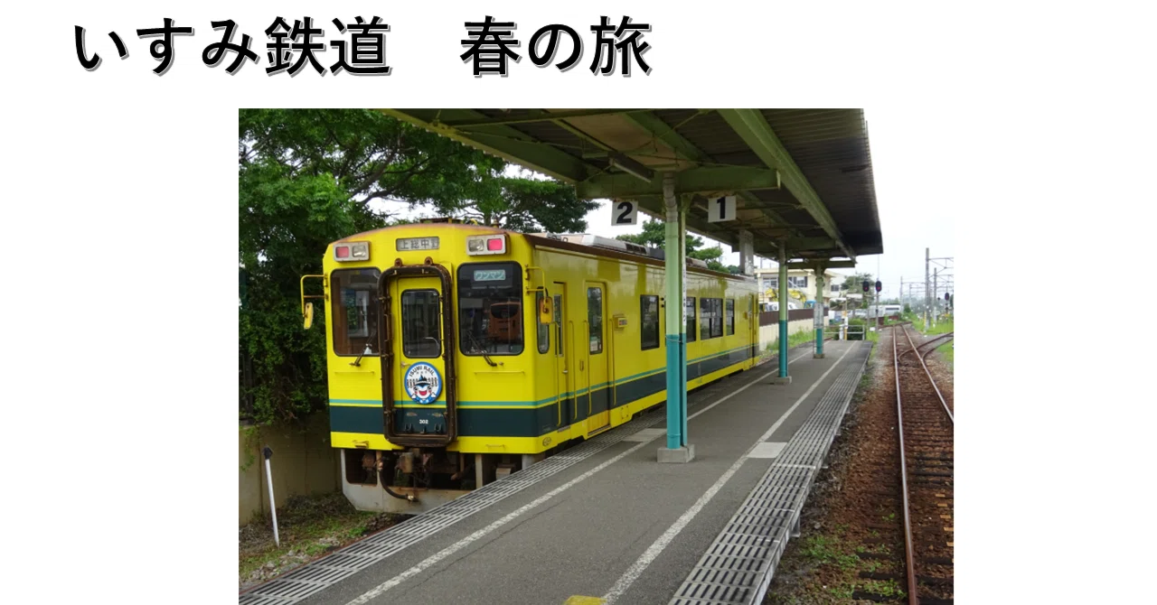 房総半島を横断するいすみ鉄道を菜の花が咲く春に訪れてみました。｜ま 
