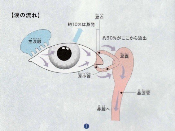 やさしいめのはなし-1