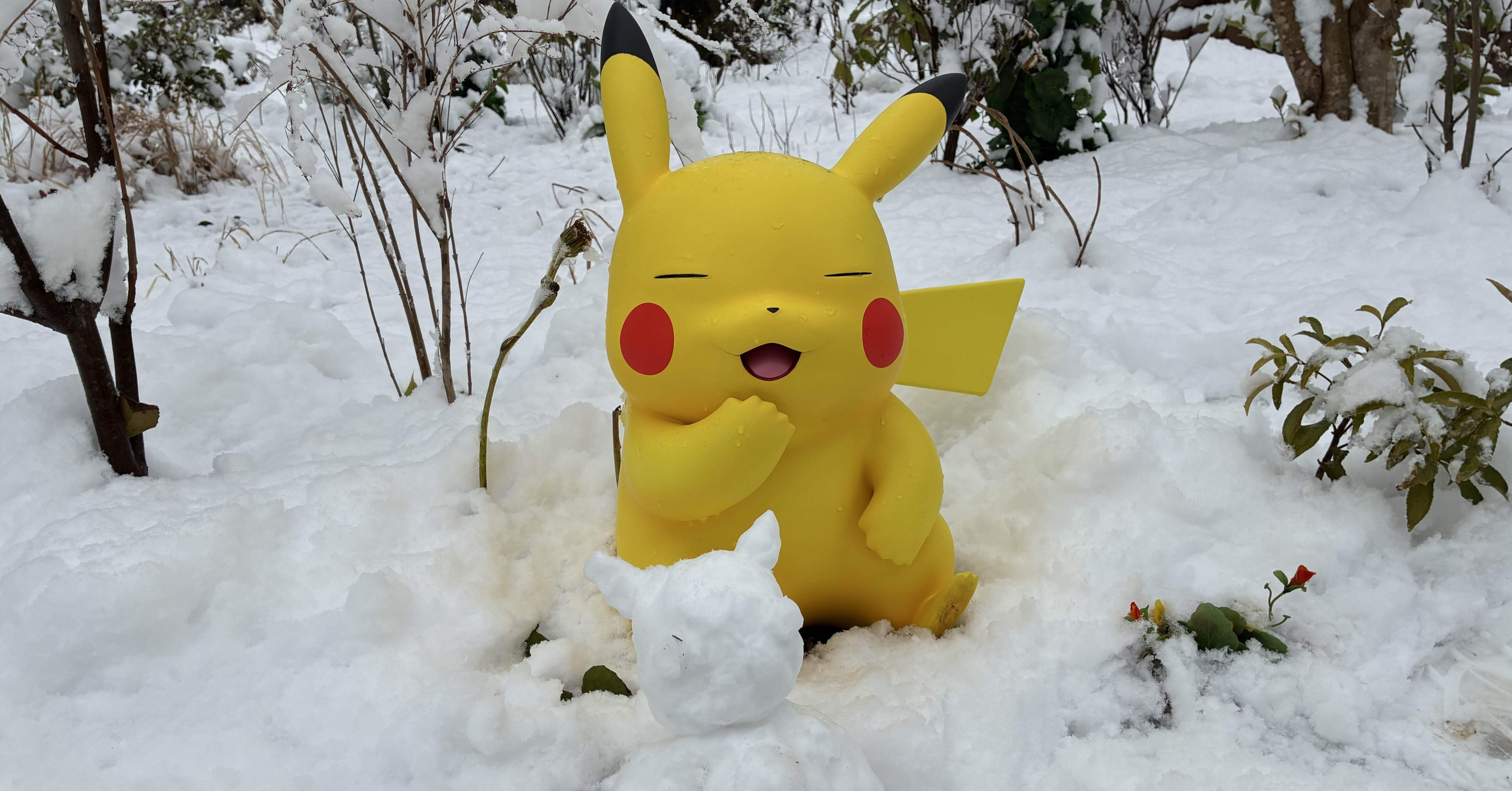 雪のポケパーク体験記 そこにポケモン生態系を観た｜未確認歩行者