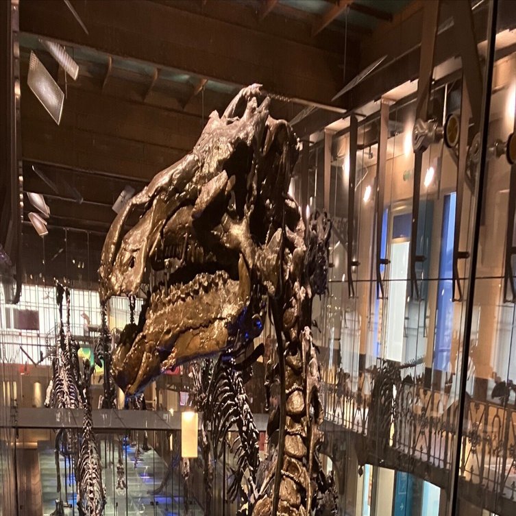 ベルギー ブリュッセルカードを使用して 丸1日で美術館8つ巡った｜旅