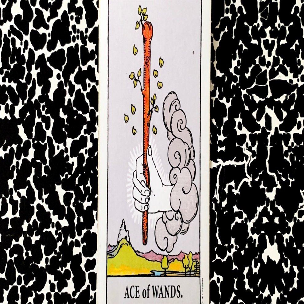 2/26 Tarot Reading of the Day♡｜miriishii