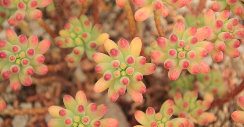 意味のあることをしなくちゃ って焦らせるだけの 無駄な時間警察 は 私たちから有意義なゆとりを奪っているかも 繭 note