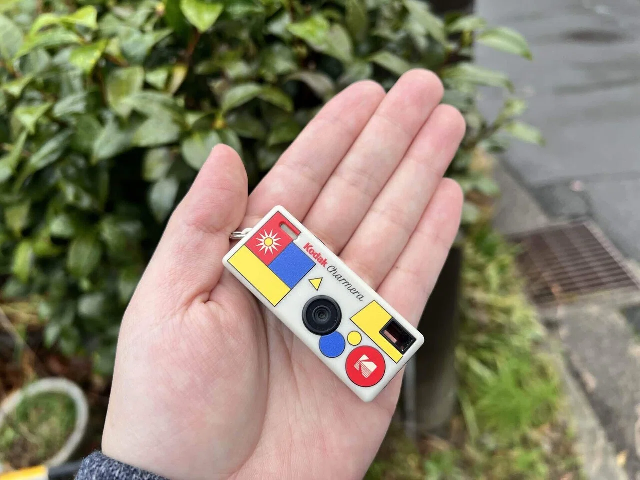 Kodak 