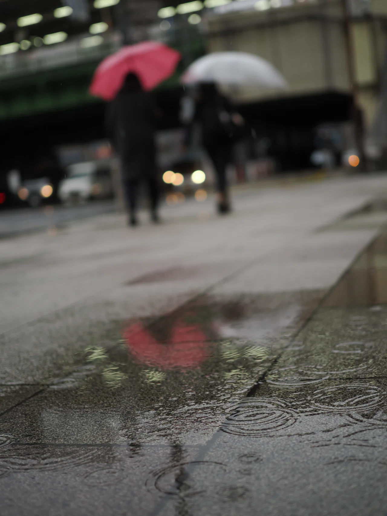 M.ZUIKO 25mm F1.8 II 】最強の「お散歩レンズ」で見つける、雨の日の
