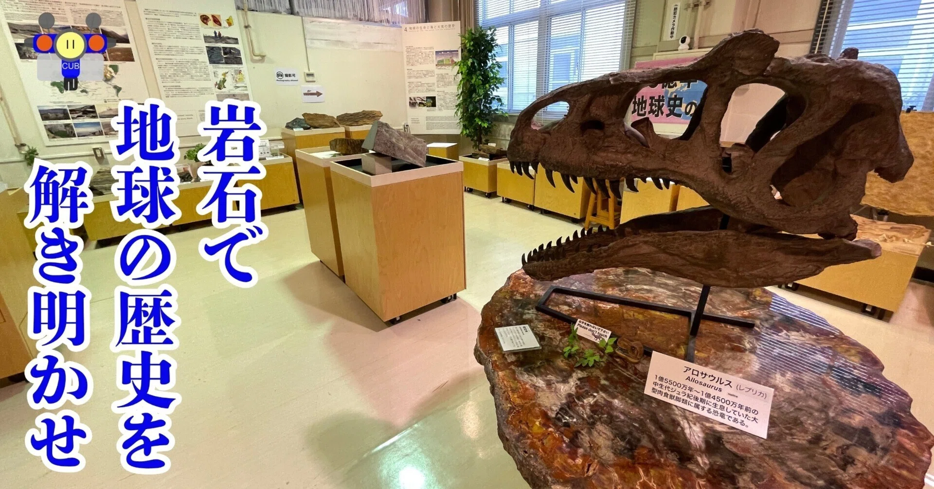 すごい博物館158】東京科学大学・地球史資料館：46億年の歴史を鉱物 