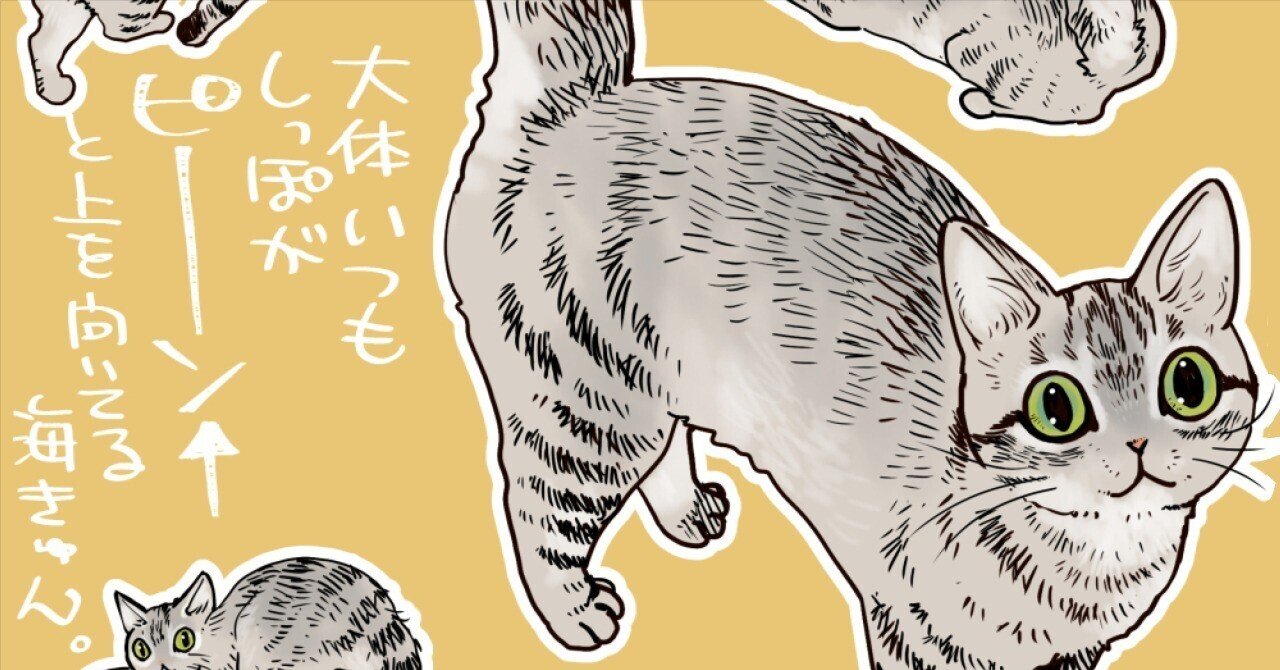 今日の山野絵（猫エッセイ）2（2022年分）｜山野りんりん