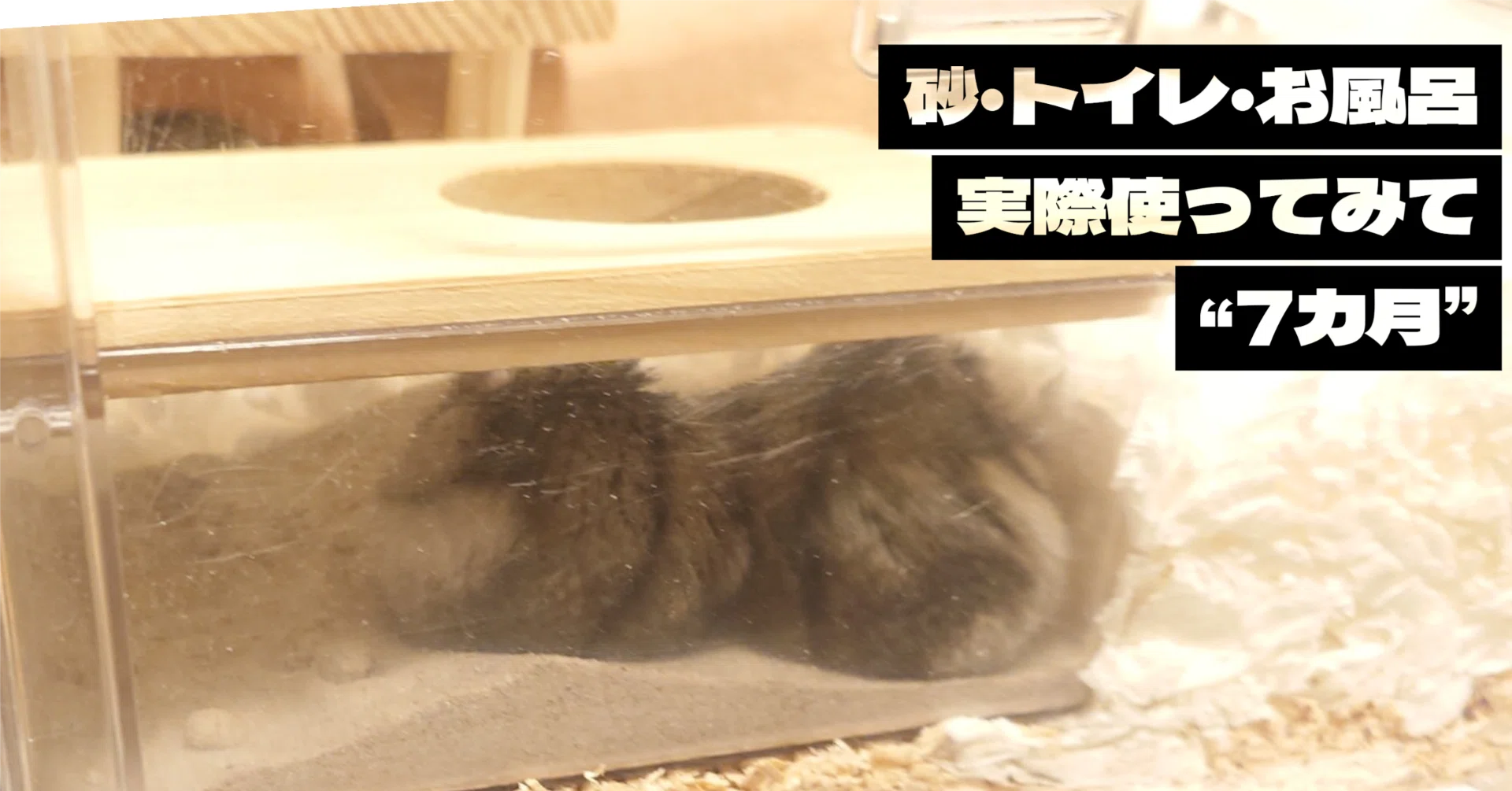 トイレ・お風呂・砂事情。うちはこれ買ったらこんな感じでした【7ヶ月 