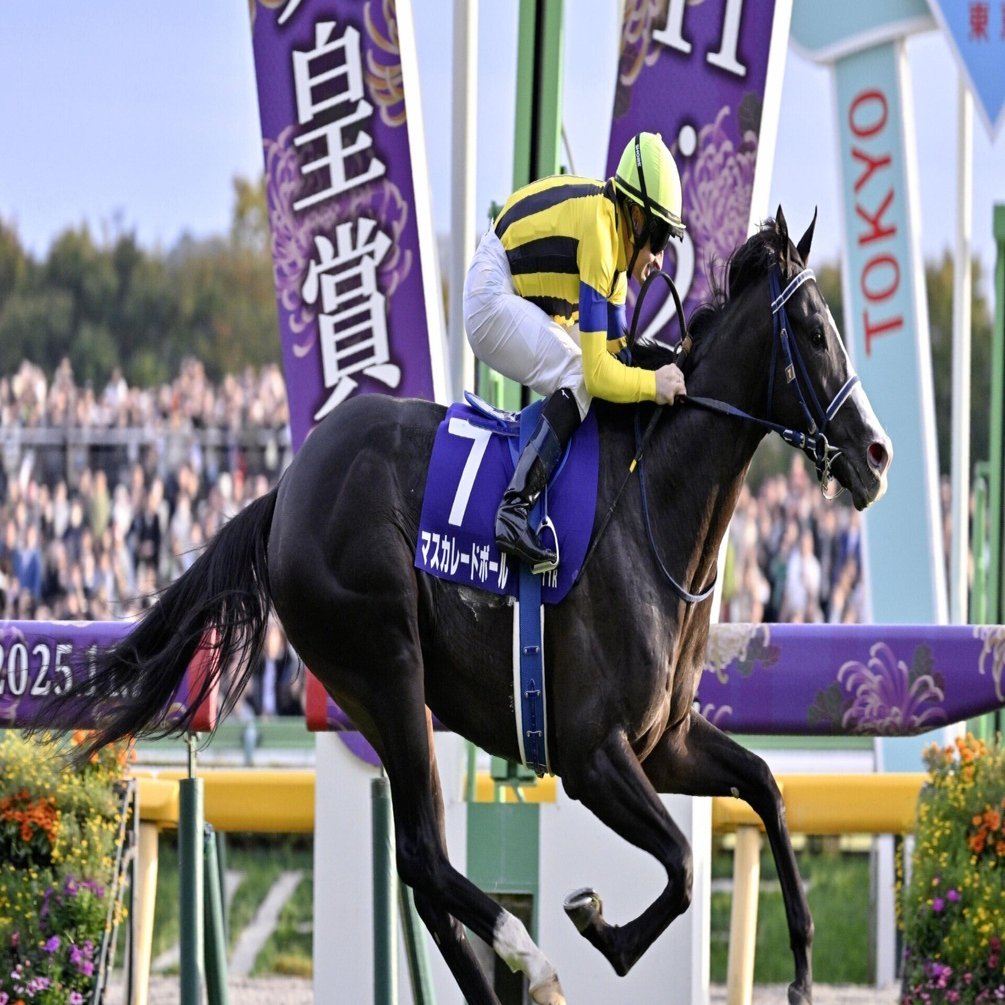 ドゥラメンテの最高傑作の一頭｜馬好きおじさん