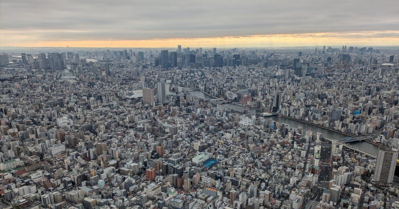 標高634mの畑から、本物のスカイツリーへ。息子と私、それぞれの「登り方」。