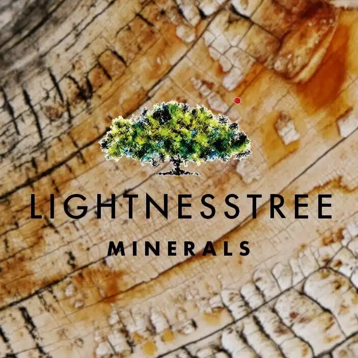  LIGHTNESSTREE ｜ 田坂 円