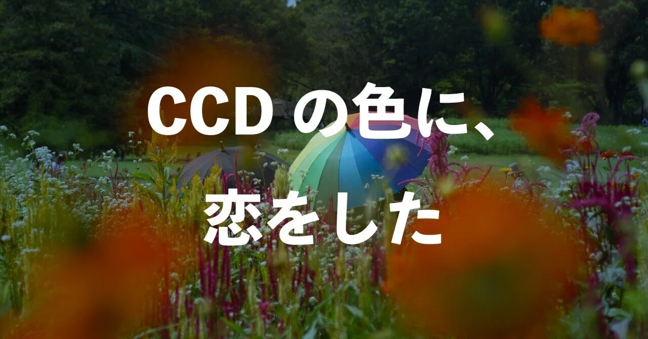 わたしのカメラ史 第7回｜CCDの魔法に魅せられて。Nikon D50が教えて