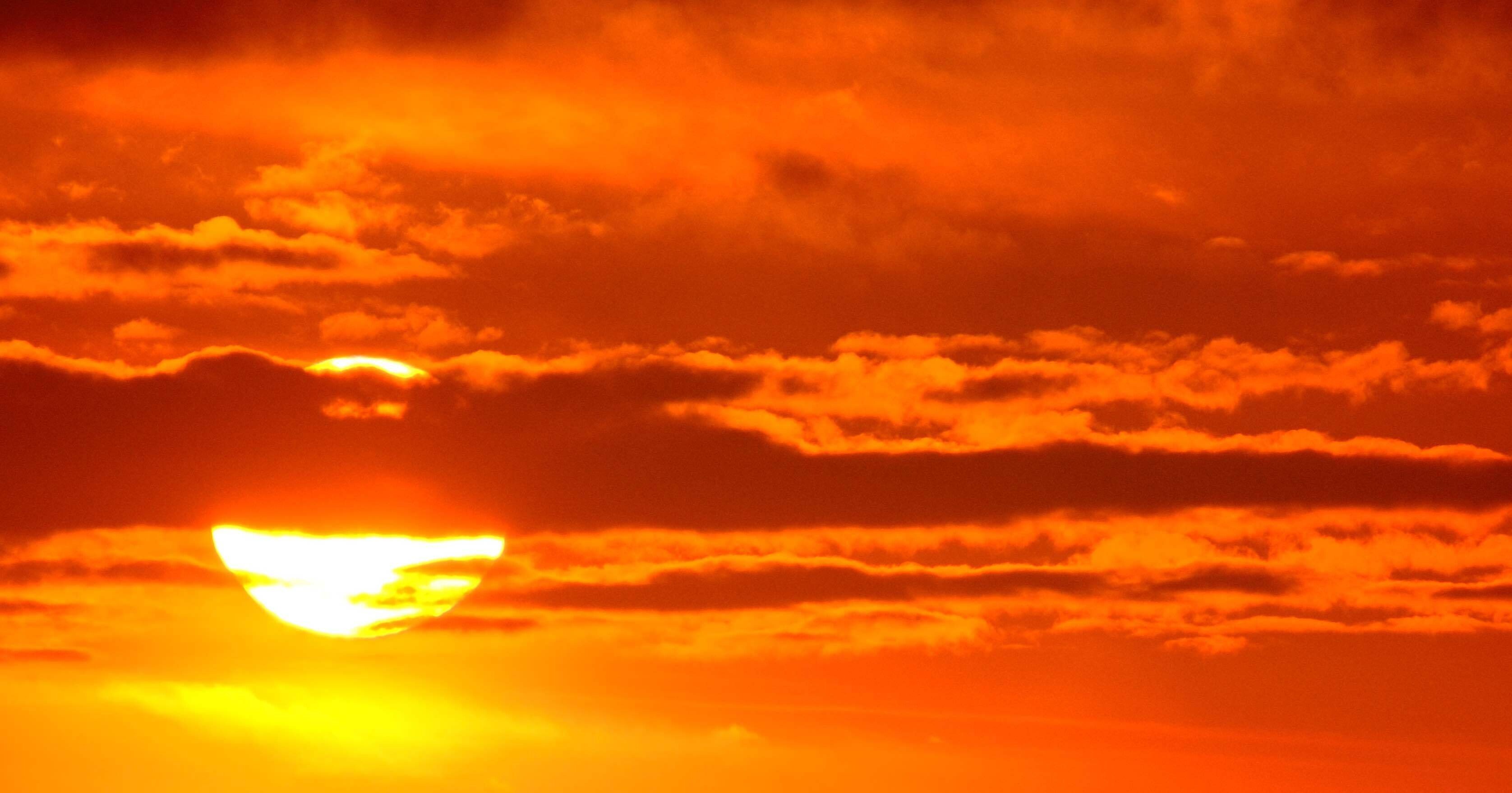 FUJIFILM X-T5 / SIGMA 16–300mm F3.5–6.7 DC OS｜kuroshio。