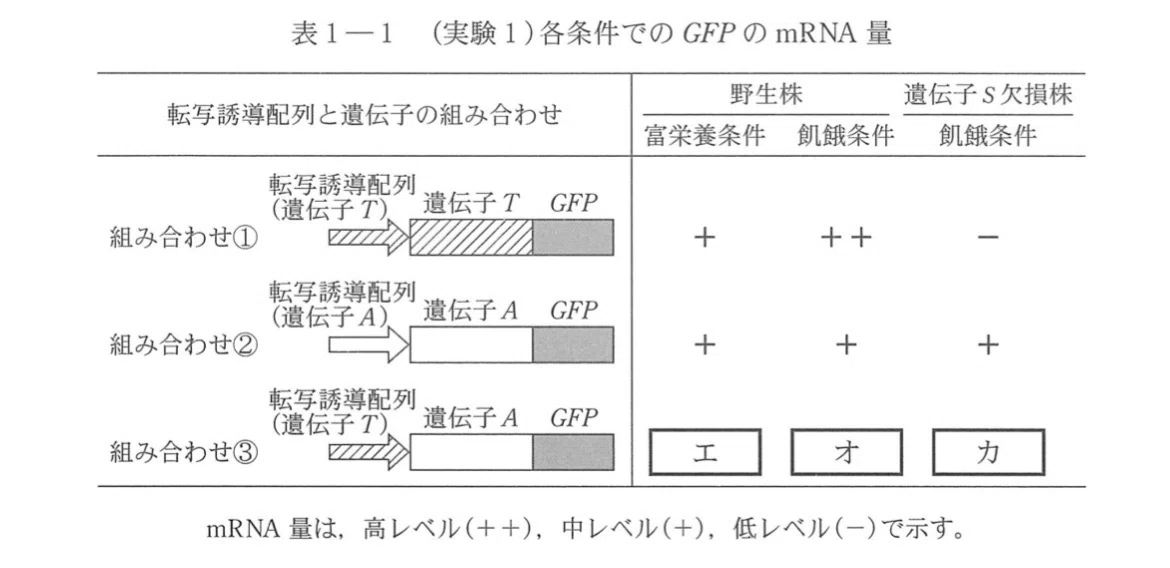 2026東大生物第1問解説！｜つくね日誌