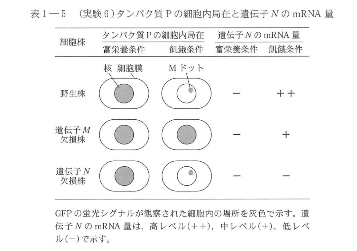 2026東大生物第1問解説！｜つくね日誌
