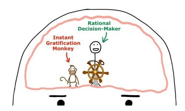 先延ばし屋の頭の中 Seiji Note