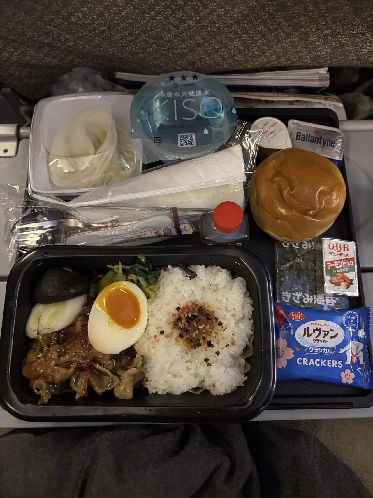 Travel✈️】シンガポール 1日目🇸🇬(シンガポール航空SQ631フライト