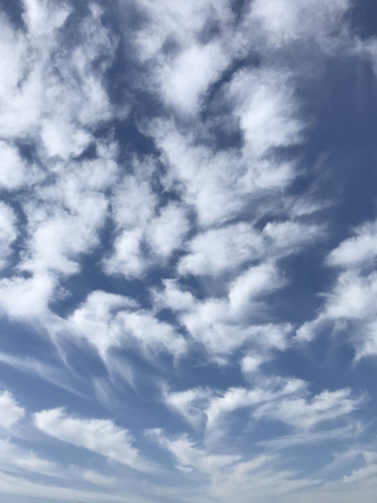 青い空を白い雲がかけてった の新着タグ記事一覧 Note つくる つながる とどける 青い空を白い雲がかけてった の新着タグ記事一覧 Note つくる つながる とどける