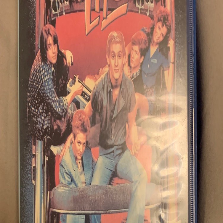 少し前に買った「ワイルド・ライフ」という映画のVHS｜浅野公喜 コウキ