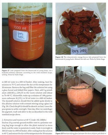 染色とレーキ顔料のための天然着色剤 Nnatural Colorants For Dyeing And Lake Pigment Jo Kirby Daddylongbody Note