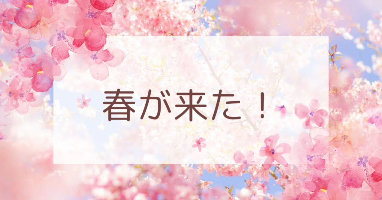 【お散歩】春が来たー！｜AKARI