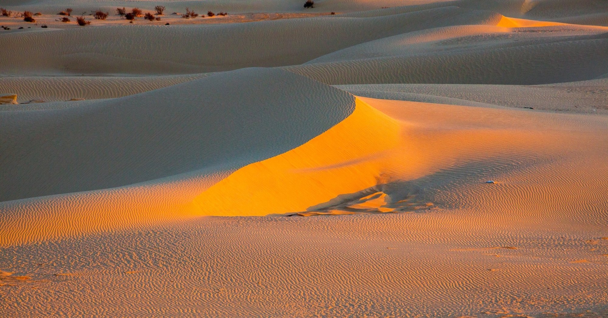 チュニジアの サハラ砂漠 Zenpaku Note チュニジアの サハラ砂漠 Zenpaku Note